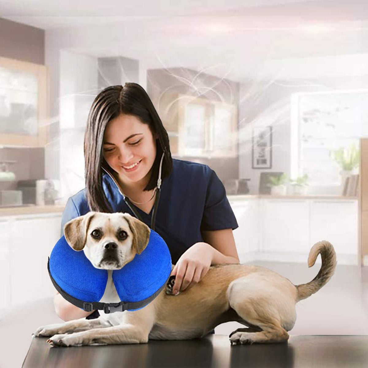 MEIDONG Collier de protection gonflable pour chien avec fermoir réglable pour la récupération après une opération ou une blessure-M