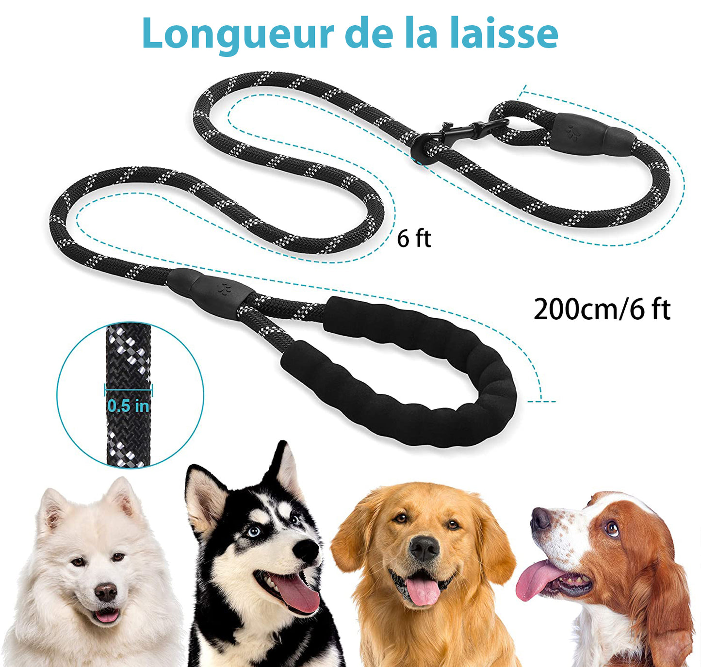 MEIDONG Laisse pour Chien - Longueur de Corde 2m forte avec Poignée Rembourrée Douce et Fils Très Réfléchissants Noir