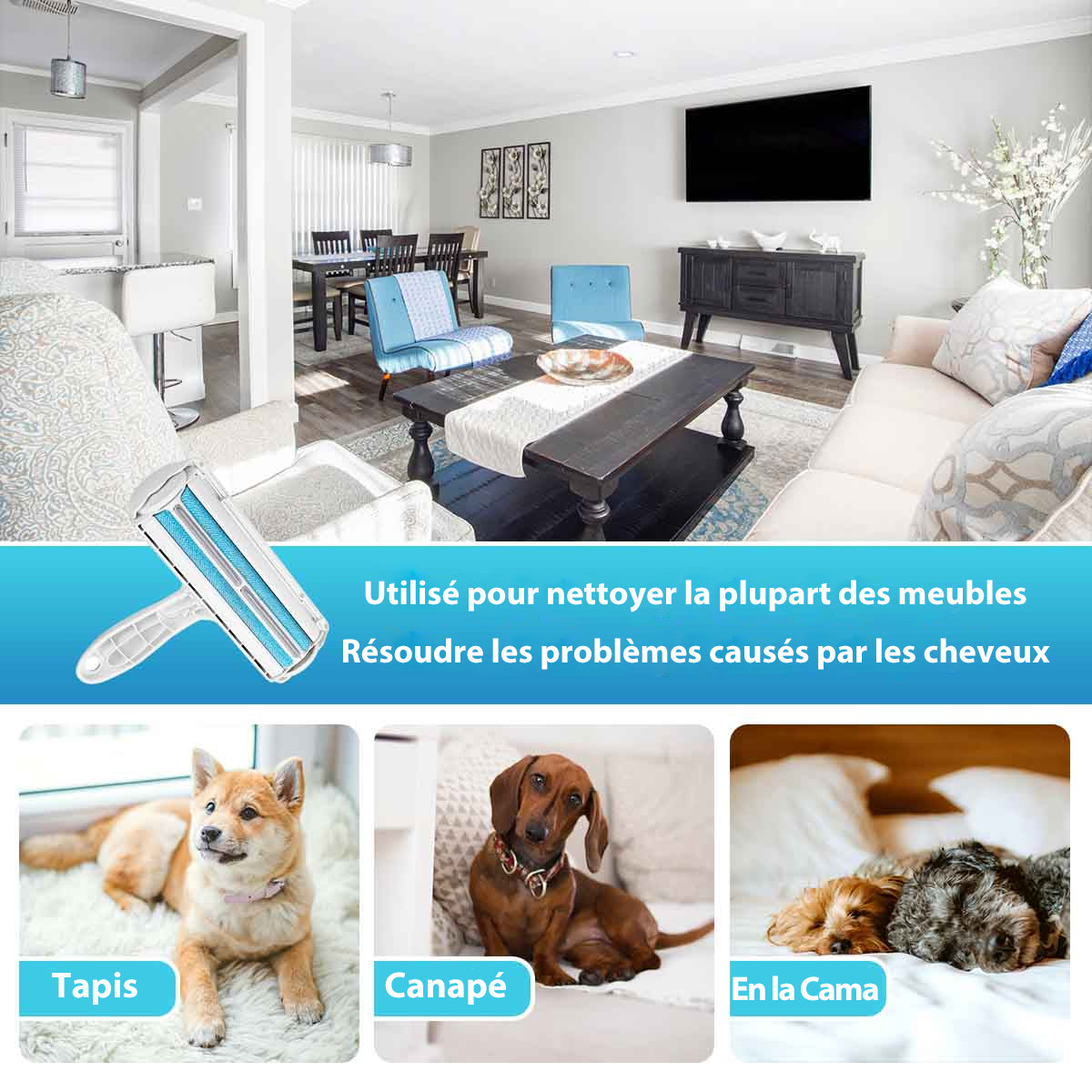 MEIDONG Brosse Anti Poils Animaux,Chat Chien Brosse,Rouleaux réutilisables en poils d’animaux(vêtements,canapé,Voiture,lit)