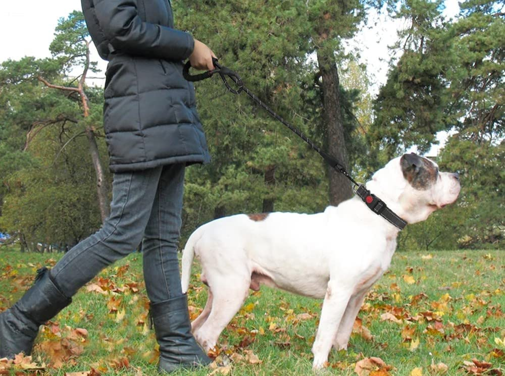 MEIDONG Laisse pour Chien - Longueur de Corde 2m forte avec Poignée Rembourrée Douce et Fils Très Réfléchissants Noir