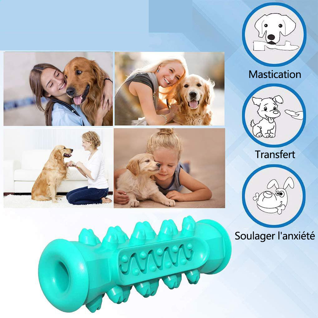 MEIDONG Grands chiens durables petits chiens jouets à mâcher bâton de molaire soins dentaires produits pour animaux de compagnie
