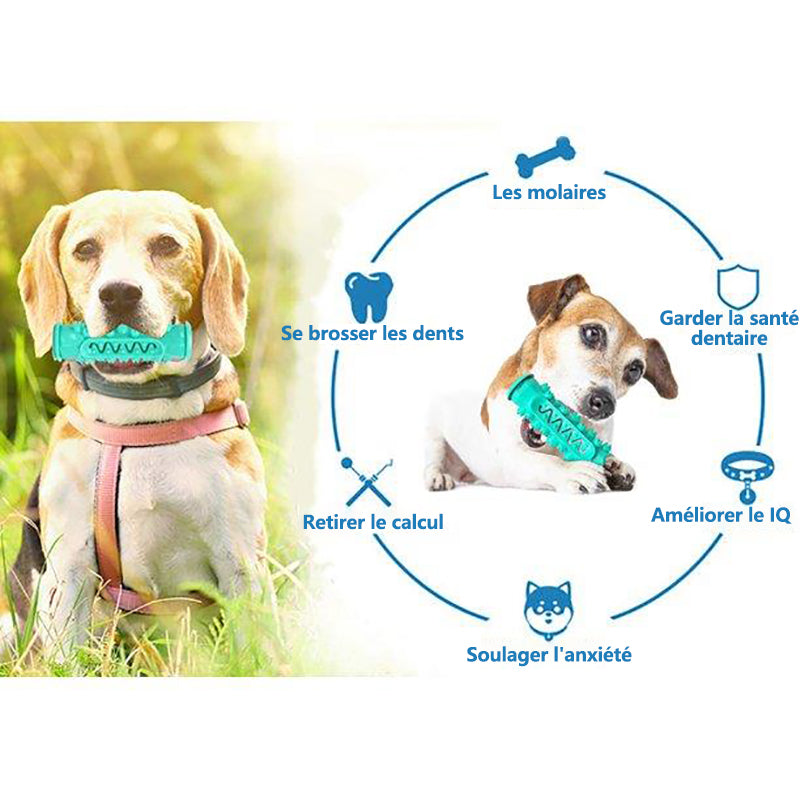 MEIDONG Grands chiens durables petits chiens jouets à mâcher bâton de molaire soins dentaires produits pour animaux de compagnie