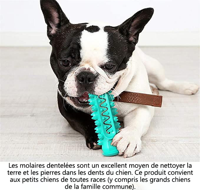 MEIDONG Grands chiens durables petits chiens jouets à mâcher bâton de molaire soins dentaires produits pour animaux de compagnie